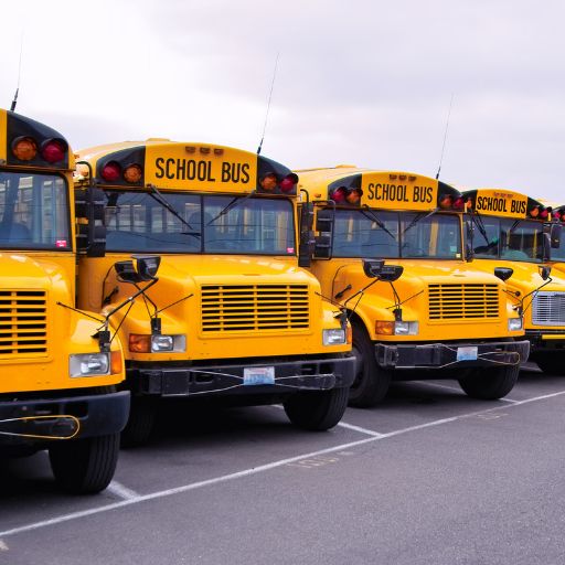 School Transport